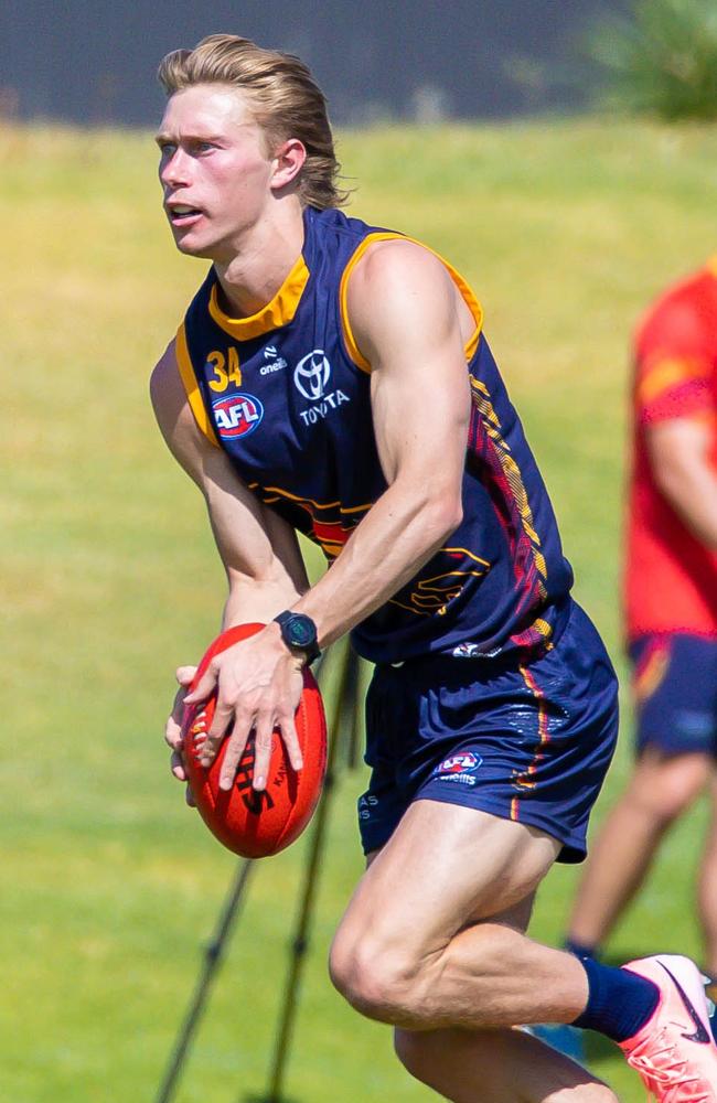 Sid Draper has impressed so far at Adelaide. Picture: Adelaide FC/Zac Standish