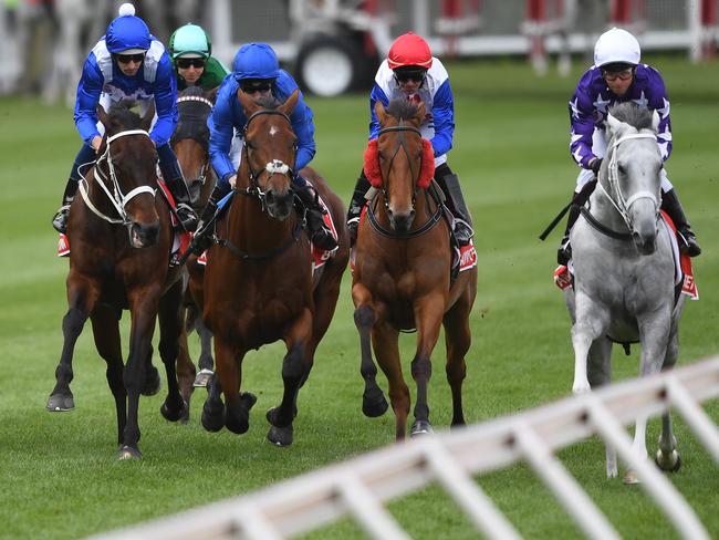 The field in the Cox Plate with Jockey Hugh Bowman and Winx (far left) make their way down the home straight on the first occasion.