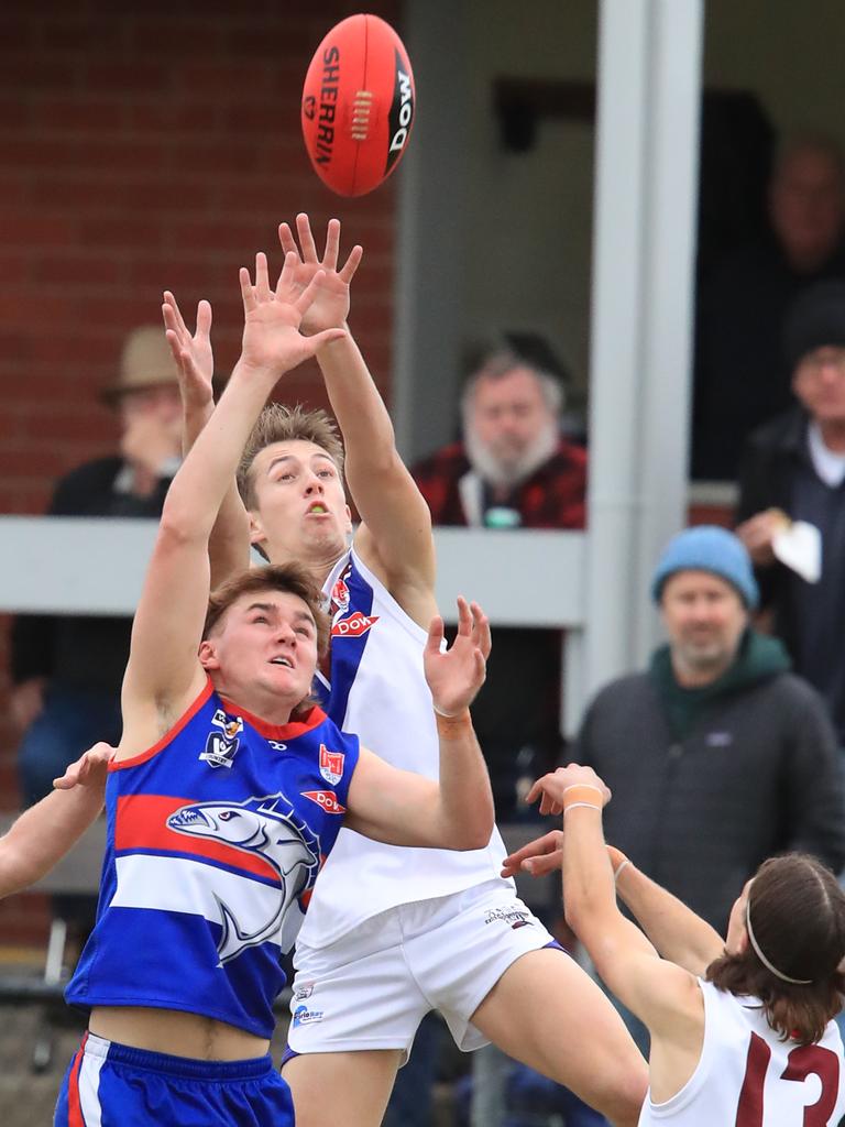 Queenscliff’s Max Scott fights for the ball against Modewarre’s Thomas Duncan. Picture: Mark Wilson