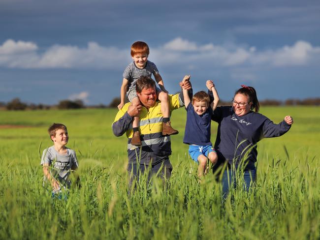 A year later, rain has delivered “perfect” crops to the Tyack property and relief they can continue farming. Picture: Alex Coppel.