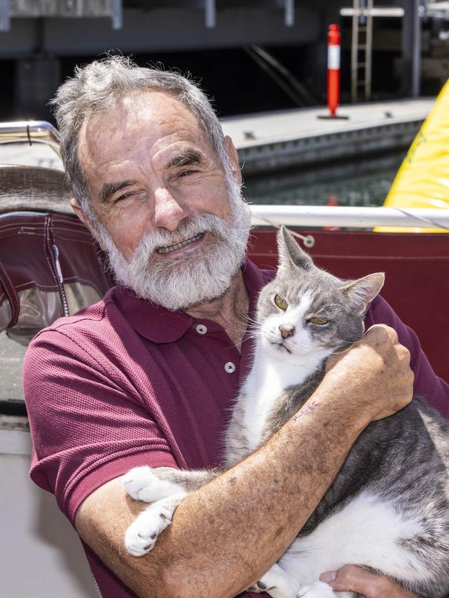 Sailing cat Oli on his owners Sydney to Hobart yacht.