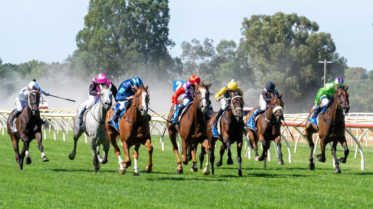 Wangaratta Cup Day 2024. Herald Sun