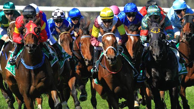 Racing in New South Wales on Friday is at Taree and Bathurst.