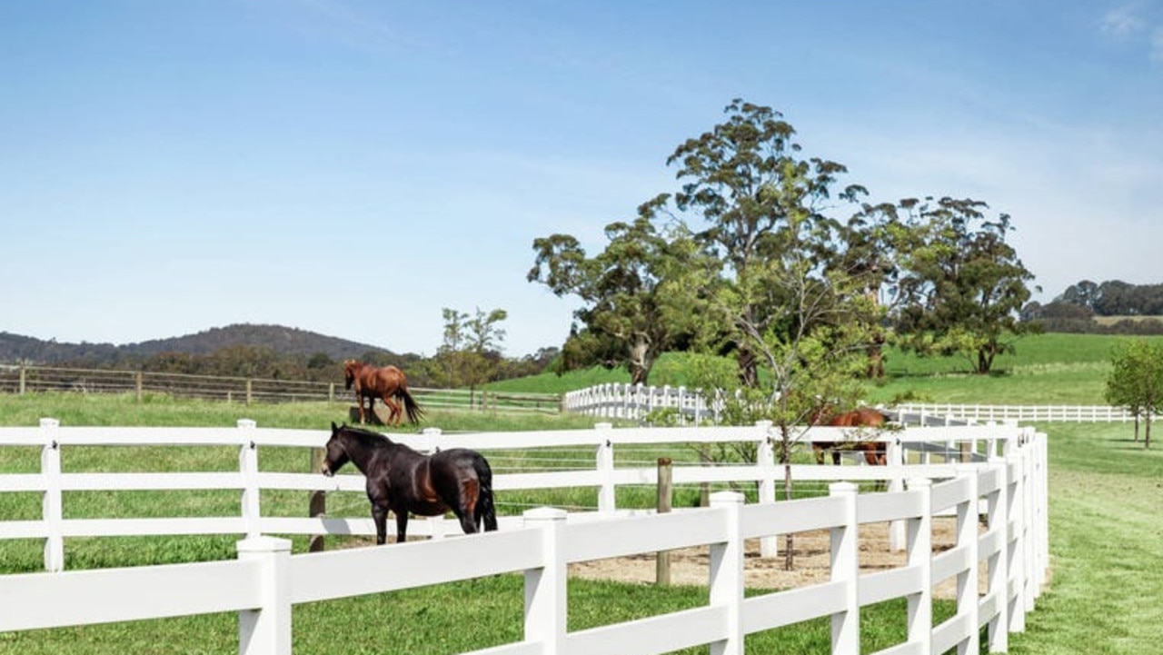 But while they might “rescue a few old horses”, their preference is for cattle and sheep.