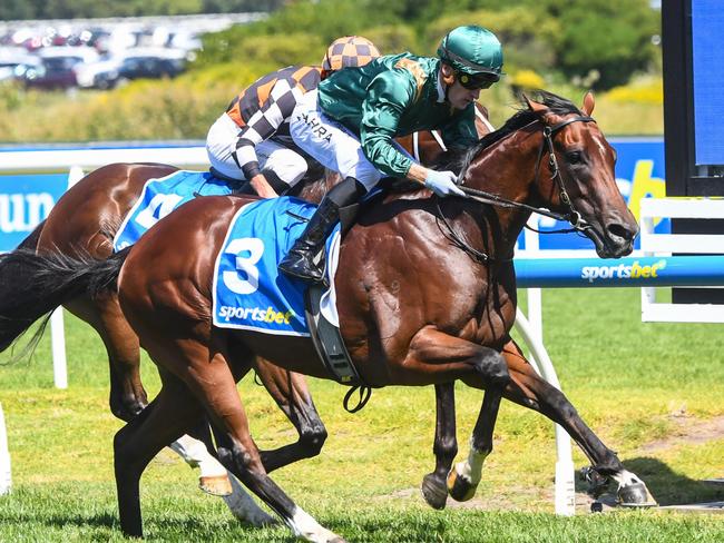 Bodyguard ridden by Mark Zahra wins the Sportsbet Blue Diamond Prelude (C&G) at Caulfield Racecourse on February 10, 2024 in Caulfield, Australia. (Photo by Pat Scala/Racing Photos via Getty Images)