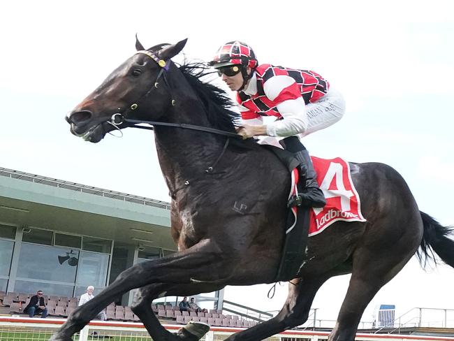 Victoria Derby runner-up Scary has three Group 1 races on his agenda in the autumn. Picture: Racing Photos via Getty Images.