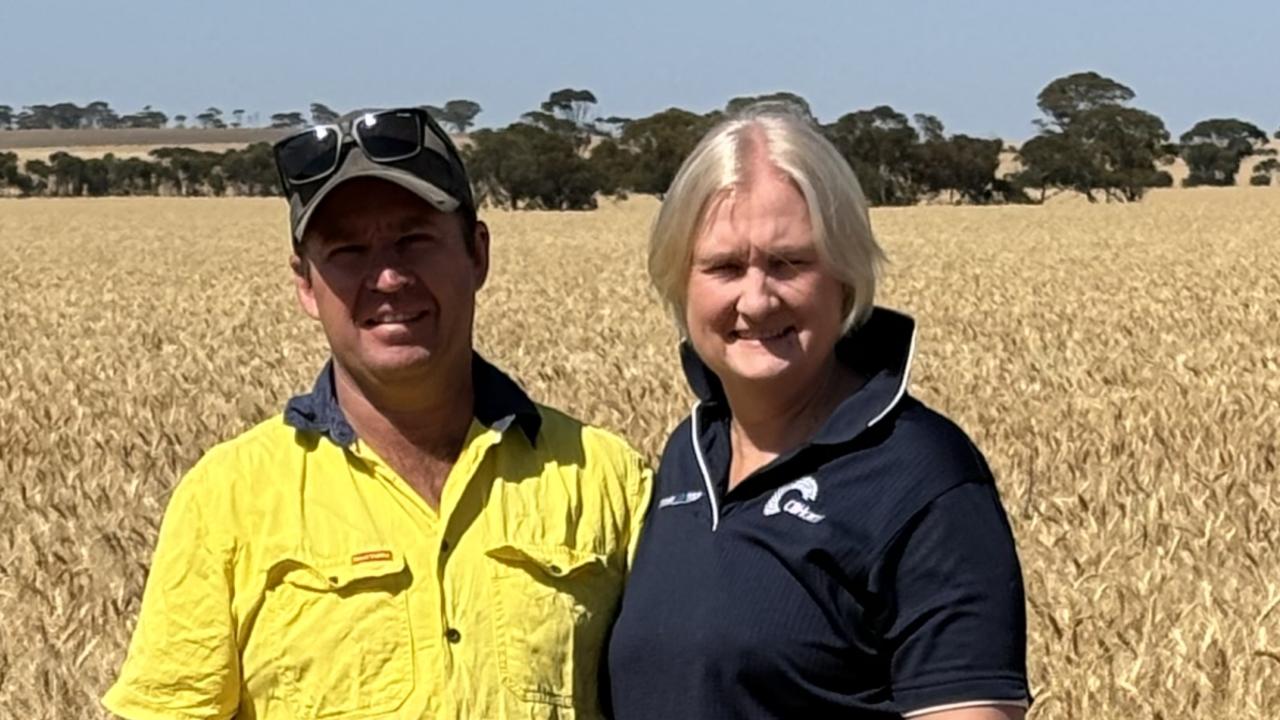 How the Talbot family run their thriving cropping enterprise