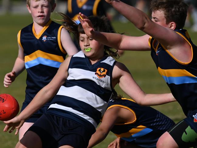 17/5/23 - SAPSASA Metro Football Carnival at West Beach. Southern Heights v Western. Picture: Naomi Jellicoe