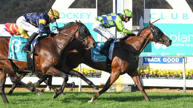 Wonder Boy, ridden by Jamie Mott, wins the Bendigo Guineas last month. Picture: Racing Photos