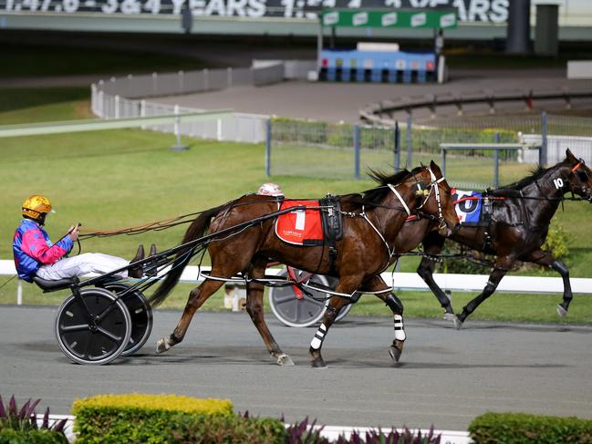 Steele hopes for ambitious trotting plans