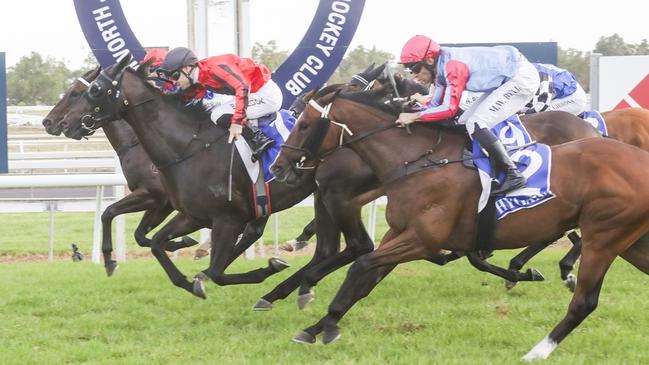 Winged (outside) is looking to break through for a deserved win at Moree. Picture: Bradley Photos