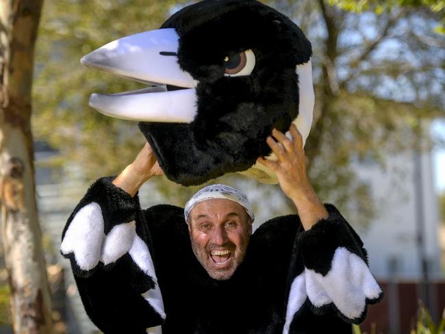 Monday 07 February  2023Magpie Man Mark Muscat in his native habitat.Pic Roy VanDerVegt