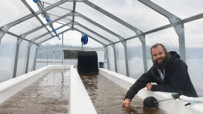 Sam Elsom with on-land tanks where asparagopsis growing is being trialled.