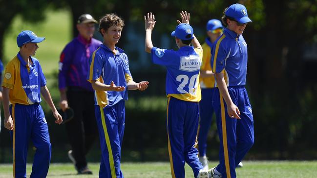 Simon Alderson celebrating a wicket for Belmont. Picture: Michael Gorton