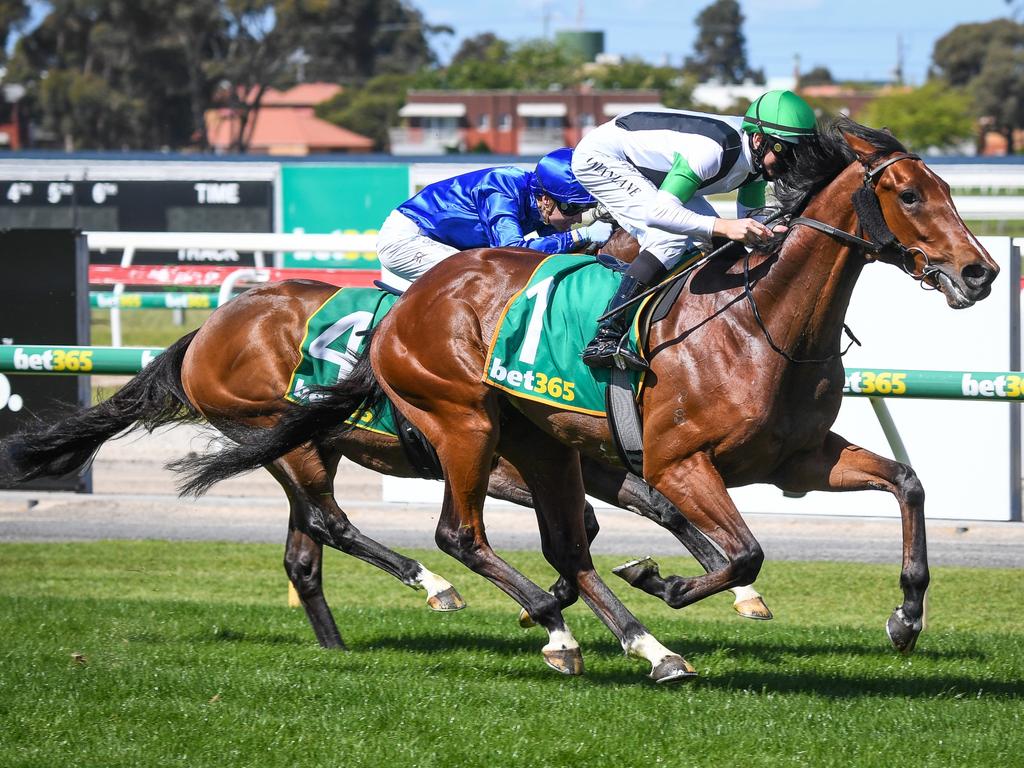 Roderick Insurance Brokers Geelong Classic