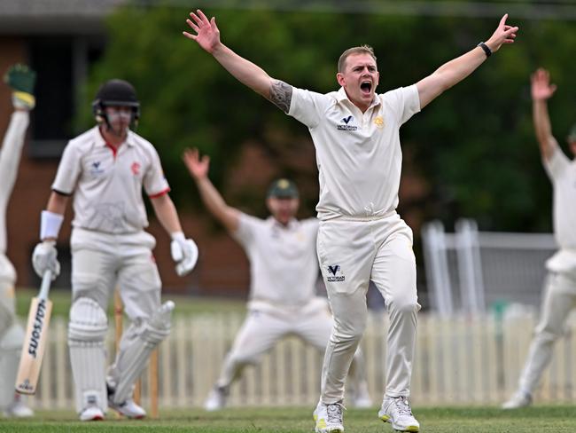 EssendonÃs Liam Molloy survives an LBW decision from NorthcoteÃs Jonty Rushton during the Victorian Premier Cricket Northcote v Essendon match at Bill Lawry Oval in Northcote, Saturday, Feb. 25, 2023.Picture: Andy Brownbill