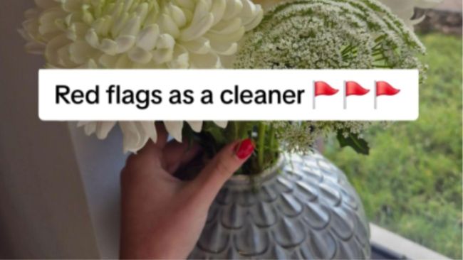 ‘I’m a cleaner and these are the clients I avoid’