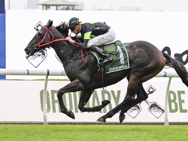 Private Eye can jump to tenth on the list of top prizemoney earners with victory in The Ingham at Randwick. Picture: Bradley Photos