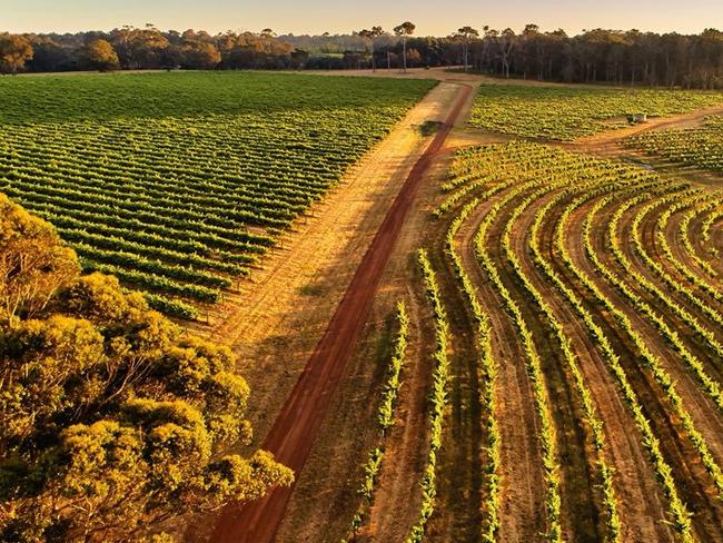 Leeuwin Winery in Margaret River, WA.
