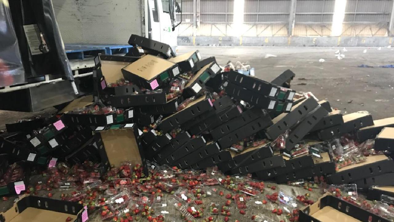 Dumped strawberries at the South Australian Produce Market. Picture: Supplied