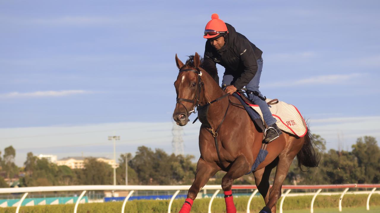 Canterbury Park Trackwork Session