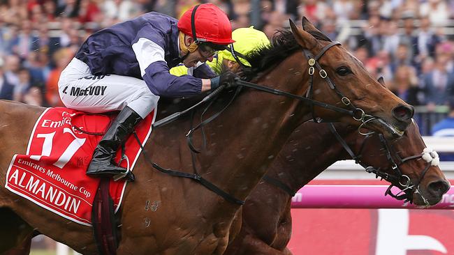 Almandin edged out Heartbreak City to win the Melbourne Cup. Picture: Ian Currie