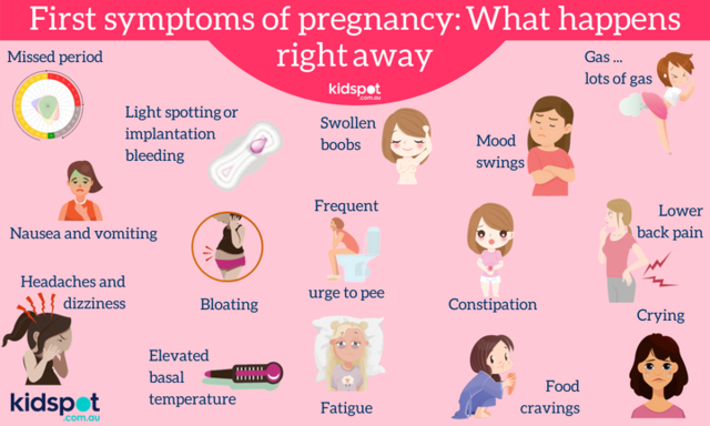 How Early Pregnancy Signs