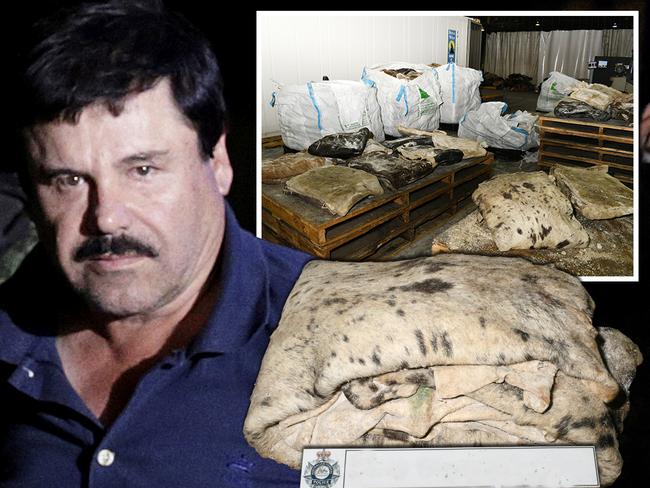 El Chapo drug haul art 2