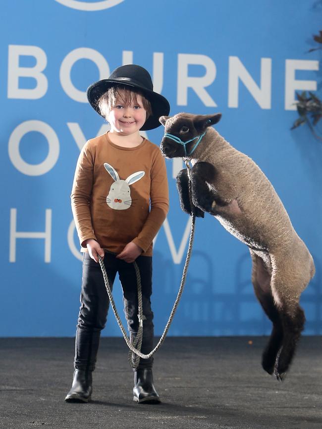 Fletcher Cozens, 6, with his Dorset Down lamb. Picture: Yuri Kouzmin