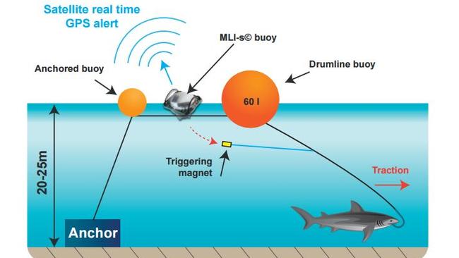 Diagram: The Catch-A-Live System, Smart Drum Line.