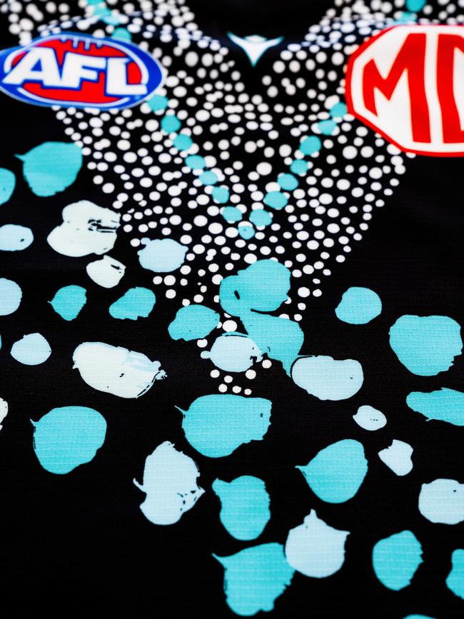 The design on the guernsey. Picture: Matthew Sampson