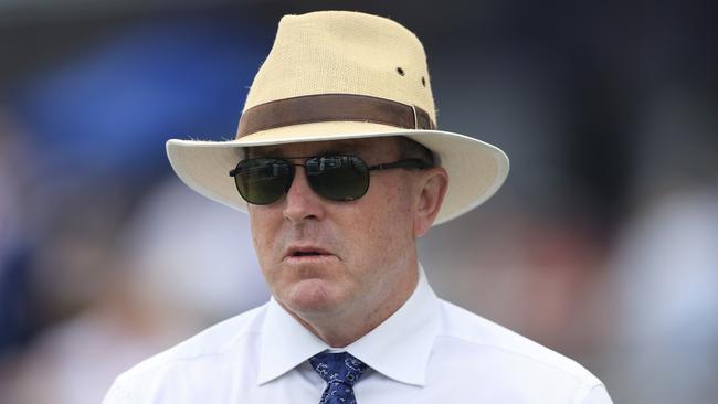 Trainer John O'Shea prepares Irish-bred filly Awesome Wonder who can bounce back at Gosford. Getty Images