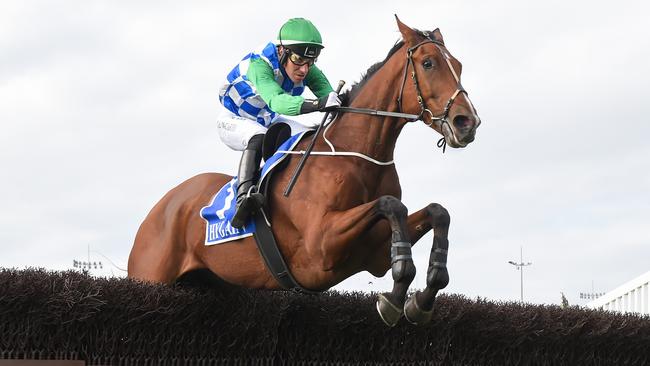 Stern Idol is the horse to beat in the Brierly Steeplechase. Photo: Pat Scala/Getty Images.