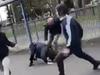 Violent stabbing attempt at Traralgon school