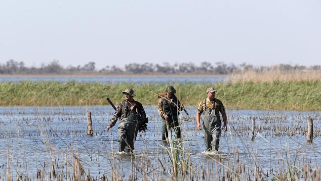 Duck hunting season opening, Lake Cullen, Kerang. Picture Yuri Kouzmin