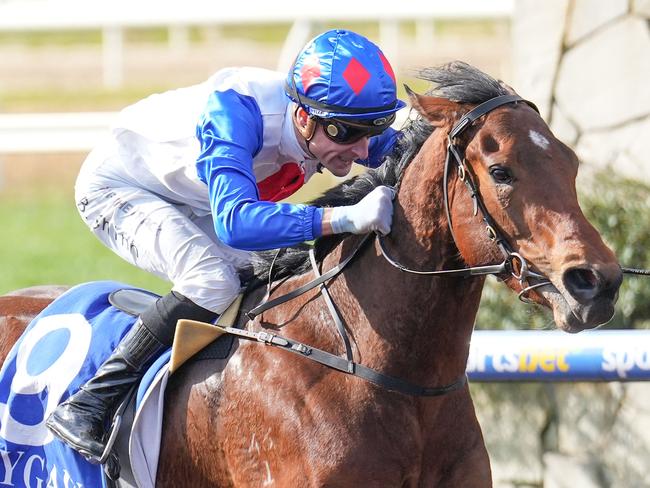 Jockey Blake Shinn and promising galloper Si Si Milano will again team up at Pakenham on Monday. Picture: Racing Photos via Getty Images.