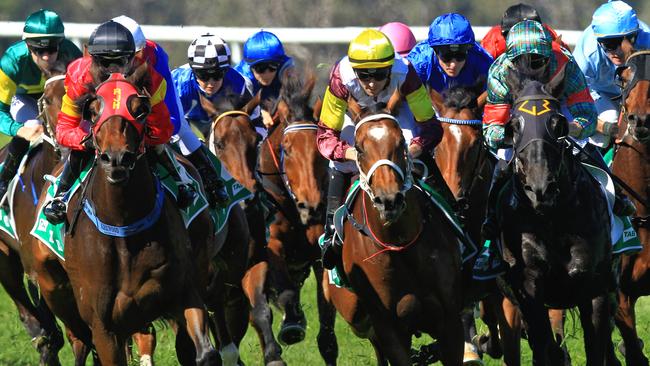 Racing in New South Wales on Friday is at Tamworth.