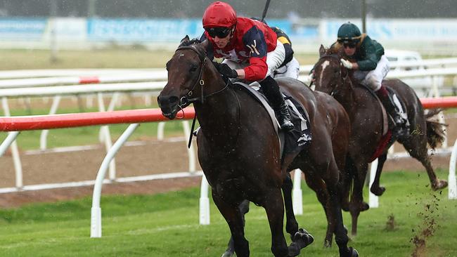 Schwarz is the second favourite in early betting on Friday night’s Group 2 Australia Stakes where he will chase a second Group 2 win. Picture: Getty Images