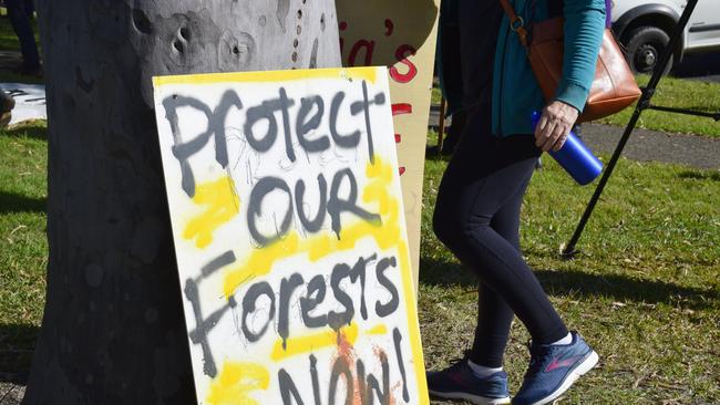 Anti-logging protesters rally outside the Forestry Corporation building in Coffs Harbour.