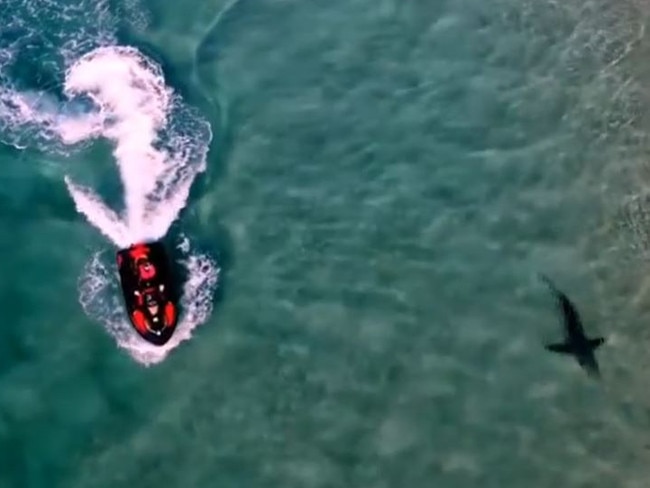 A jetski rider has been attacked by a three-metre bull shark off the coast of Queensland, with the incident all caught on drone vision.Rick Manning first spotted baitfish about 20 metres off the coast of North Stradbroke Island on Saturday, before he and a mate sent up a drone which captured five sharks in the water. Picture: Instagram