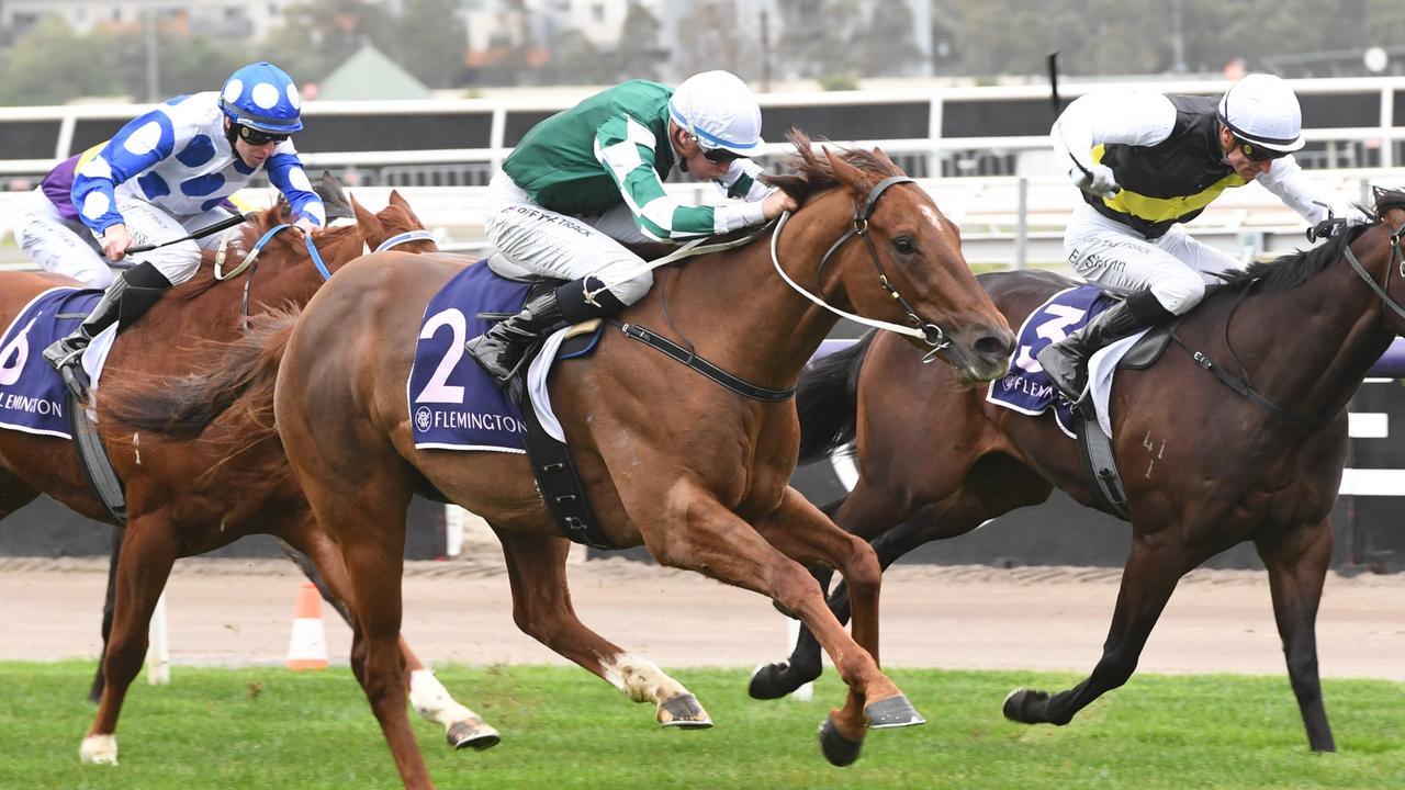 Early Oil: Turnbull Stakes day tips at Flemington