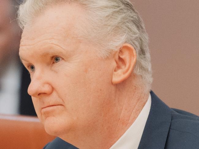 CANBERRA, AUSTRALIA - NewsWire Photos - 29 JULY, 2024: Australian Prime Minister Anthony Albanese holds a Full Ministry Meeting inside the Cabinet Room at Parliament House in Canberra. Pictured are Tanya Plibersek (L) and Tony Burke (R). Picture: NewsWire / David Beach