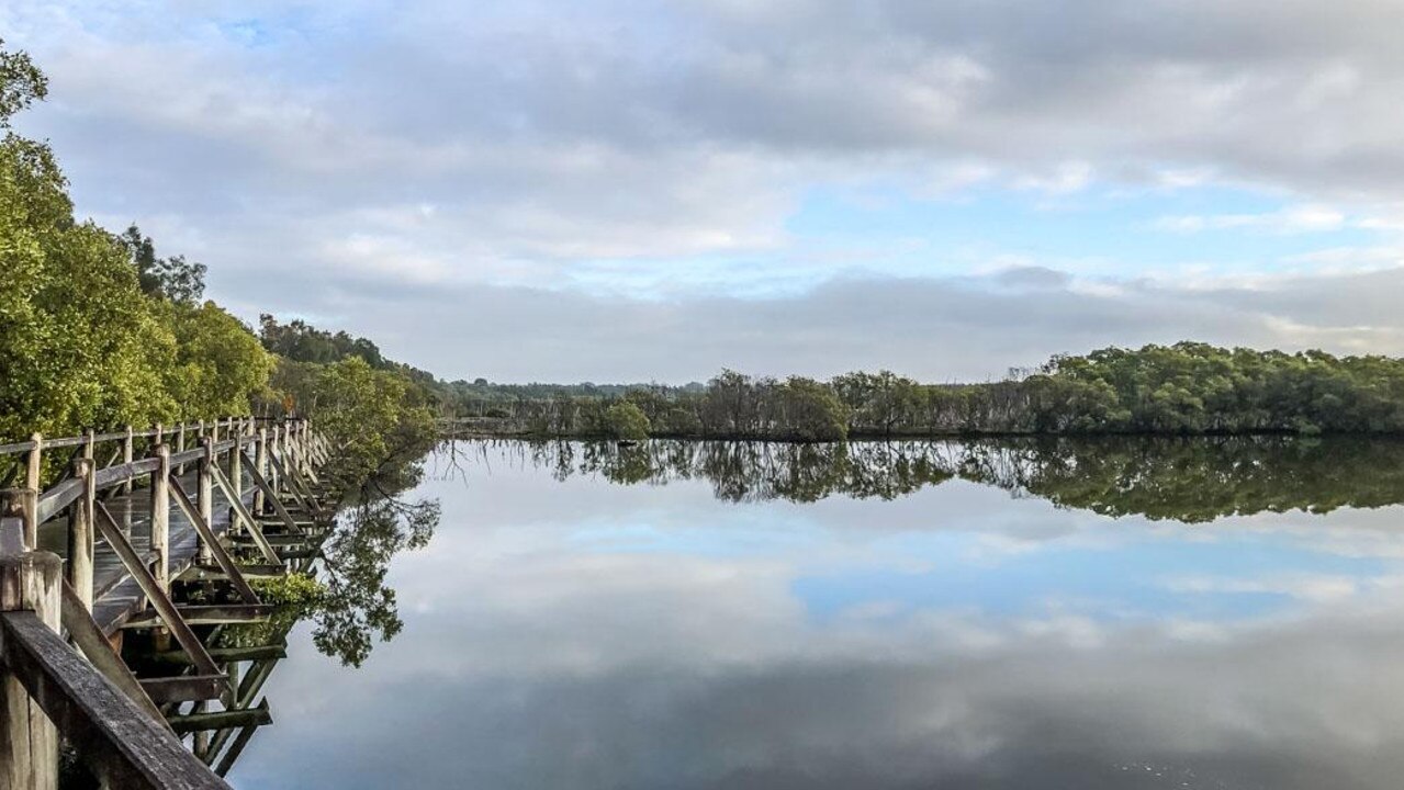 Usually the water at Boondall Wetlands is crystal clear. Picture: Facebook.