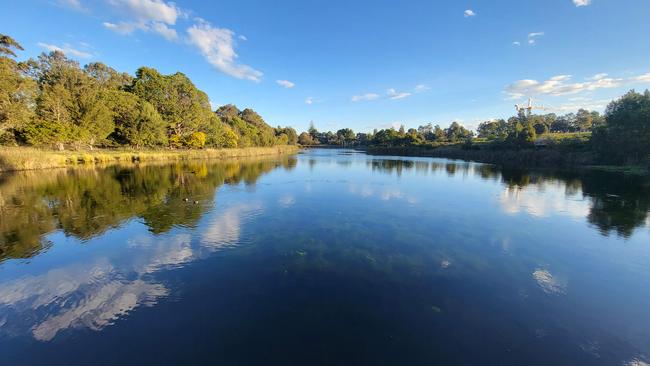 Sydney Park with the Samsung Galaxy Z Fold3 5G