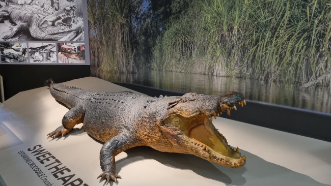 Best Darwin museums: The Top End isn’t just about crocs | Herald Sun