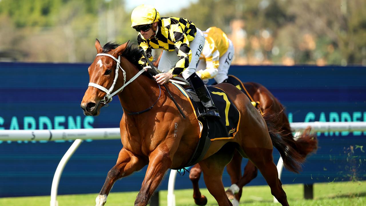 Tyler Schiller guided Autumn Glow to an effortless debut win at Rosehill on Saturday. Picture: Jeremy Ng/Getty Images