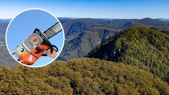 21-year-old Irvine Martin was sentenced in Coffs Harbour court this week after a drunken Australia Day rampage where he wielded a chainsaw in Dorrigo.