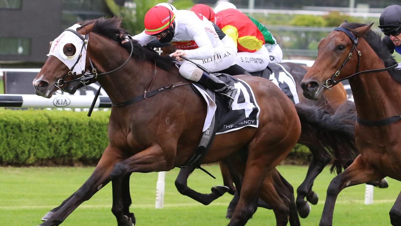 Major Artie has been well backed in race 9 at Rosehill. Picture: Grant Guy