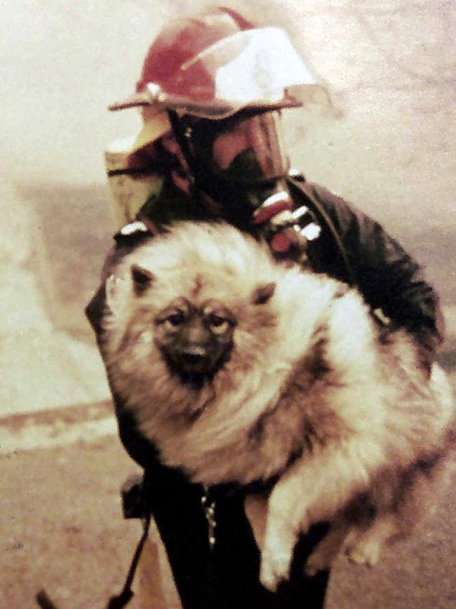 Mr Mullins rescuing a family pet during the 1994 Christmas bushfires in Terry Hills. 