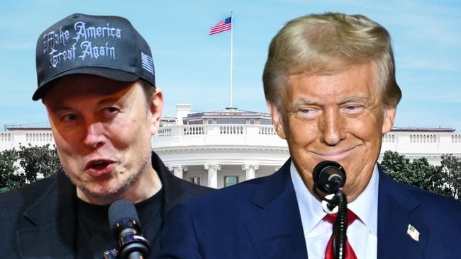 web art for Musk & Trump